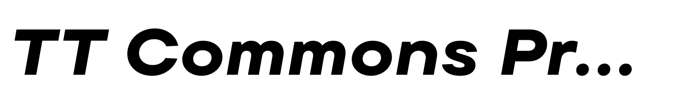 TT Commons Pro Expanded ExtraBold Italic